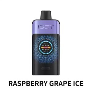 IGET ONE 12000 Puffs