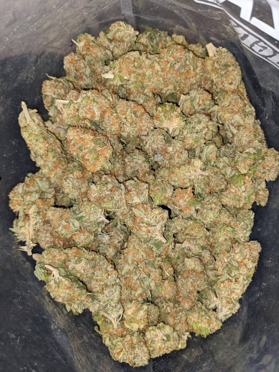 MEDICAL CANNABIS PREMIUM QUALITY