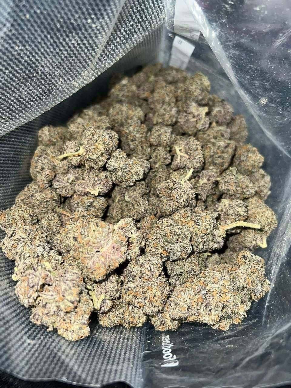 MEDICAL CANNABIS PREMIUM QUALITY - Image 2