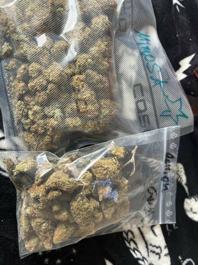 MEDICAL CANNABIS PREMIUM QUALITY - Image 3